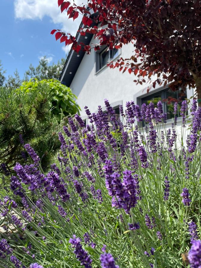 Hortus Apartament Z Klimatyzacja Болеславец Экстерьер фото