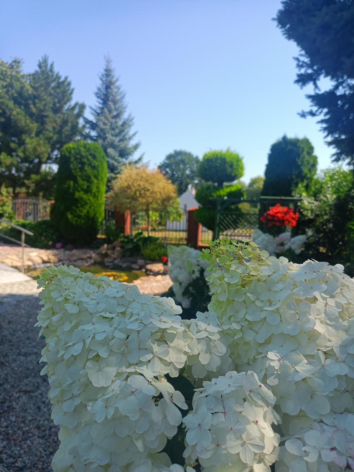 Hortus Apartament Z Klimatyzacja Болеславец Экстерьер фото