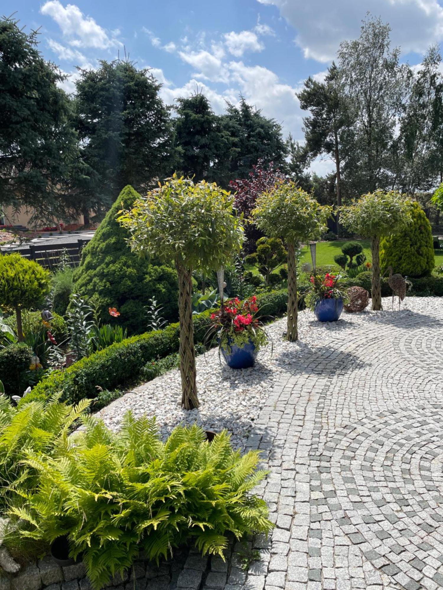 Hortus Apartament Z Klimatyzacja Болеславец Экстерьер фото