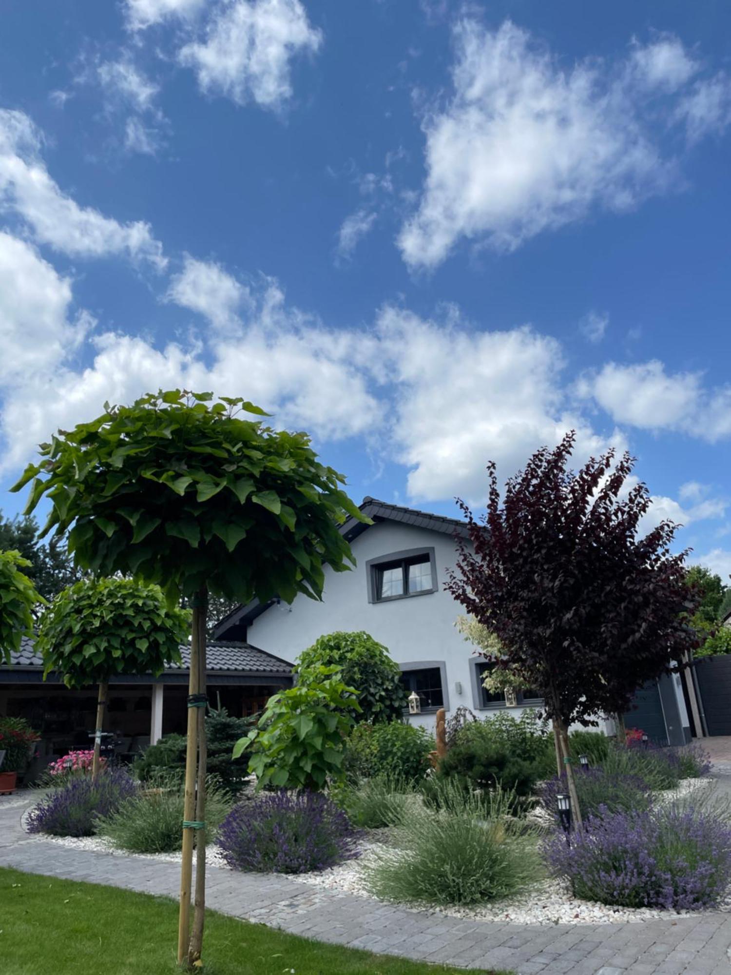Hortus Apartament Z Klimatyzacja Болеславец Экстерьер фото